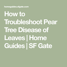 Work for 150+ ios system problems. How To Troubleshoot Pear Tree Disease Of Leaves Pear Pear Trees Tree