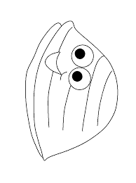 Visit kidzone animals for fun facts, photos and activities about all sorts of animals. Coloring Pages Of Ocean Animals Coloring Library
