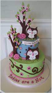 Owl Baby Shower Cake Oh My God I Need This Cake For My Baby Sprinkle Matches My Owl Theme For Baby Girls Room 3 Cake Baby Shower Cakes Shower Cakes
