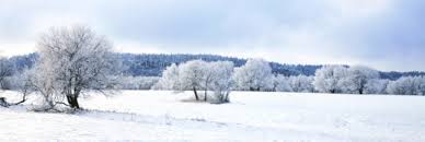 Prononciation de neige définition neige traduction neige signification neige dictionnaire neige quelle est la définition de neige. Pourquoi La Neige Rend Elle Tout Si Calme Et Feutre
