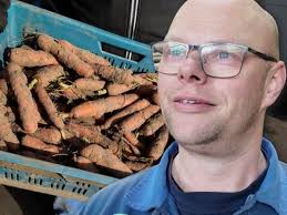 In wûnderke fan de natuer: skiep bringt twa kear lamkes yn achttjin dagen  tiid