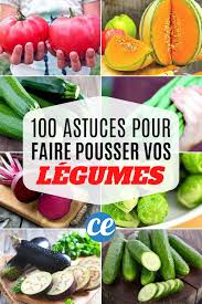 100 Astuces Potager Pour Faire Pousser Vos Legumes Facilement En 2020 Potager Planter Des Legumes Fruits Et Legumes