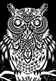 Pattern black and white illustration can be used for coloring book pages for kids and adults. Owl Black Background Owls Adult Coloring Pages