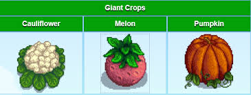 How To Get Silver Wine In Stardew Valley - Playbite