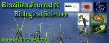 Image result for Ochthocharis dicellandroides