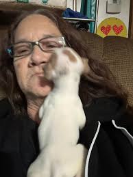 I'm so jealous of him because he had a chance to interact with Rosé and he  hugged her, but without knowing that he hates Rosé like this, our baby  doesn't deserve this.