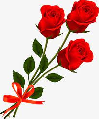 three roses png bow bow tie campanulaceae green hand three roses beautiful wallpapers backgrounds beautiful wallpapers