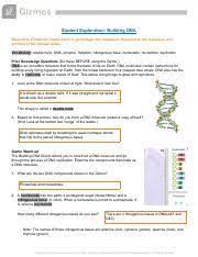 Get student exploration disease spread gizmo answer key pdf file for free from our online library student exploration disease spread gizmo answer (doc) student exploration: Copy Of Buildingdna 4m1 Eg 1 Pdf Student Exploration Building Dna Directions Follow The Instructions To Go Through The Simulation Respond To The Course Hero
