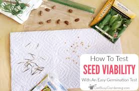 How To Test The Viability Of Seeds With An Easy Seed