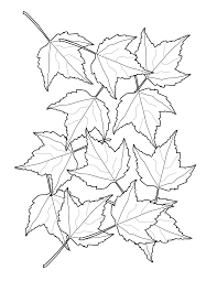 To revisit this article, visit my profile, thenview saved. 5 Free Fall Coloring Sheets Autumn Season Coloring Pages All Esl