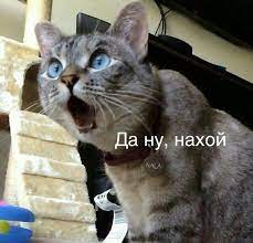 pin na doske memasiki