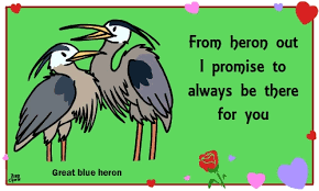 Birds Of The Same Feather Joke Https Encrypted Tbn0 Gstatic Com Images Q Tbn 3aand9gctz8t2eww2fvchkcj1wvh1q Wdiyggsnf 9lq Usqp Cau