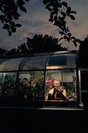 Gems What Light Through Yonder Window Breaks Orchids National Geographic National Geographic Photos