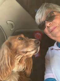 Very late to the thank you posts but here we are. Huge thanks to the entire  JJs team for all your help and support with my difficulties this year to  help me