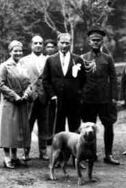 ataturk resim galeri