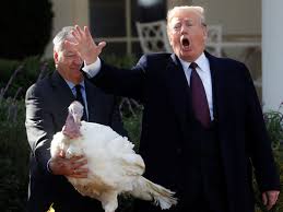 Check spelling or type a new query. Trump Cancels Thanksgiving At Mar A Lago Aides Say Bunker Mentality