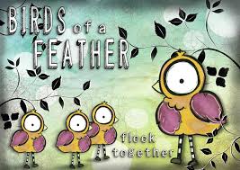 Animated Birds Of The Same Feather Flock Together Birds Of A Feather Bird Feathers Birds Art Journal Inspiration