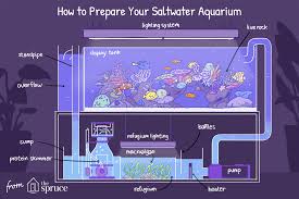 In today's video i show you how to build one of the most effective types of sump filter for the least amount of money. How To Set Up A Saltwater Aquarium