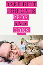 We are committed to exceptional service, and the best in veterinary medicine. Barf Diet For Cats Food And Nutrition According To Vets Barf Diet Cat Nutrition Homemade Raw Cat Food