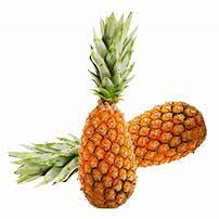 Ananas Pain De Sucre Mesquer Primeurs