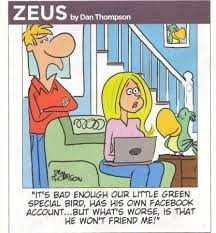 Birdy Fact Funny Man Zeus The Green Parrot Funny Birds Pet Birds Parrot Toys