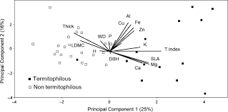Image result for Hymenodictyon austro-africanum