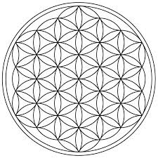Mandala Heilige Geometrie Blume Des Lebens Blume Des Lebens Muster