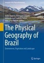 Rock content linkedin rock content facebook rock content instagram. The Physical Geography Of Brazil Springerprofessional De