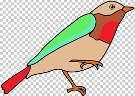 Check spelling or type a new query. Hummingbird Drawing Color Png Clipart Animals Art Artwork Beak Bird Free Png Download
