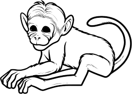 Children color monkeys, learn the continents they live on. Free Printable Monkey Coloring Pages For Kids