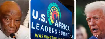 African leaders invited to Washington D.C. summit