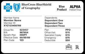 If you haven't received your id card yet, you can use the id number and group number from your welcome letter to log into blue access for members sm (bam) to print a temporary id card. Https Www Ibx Com Pdfs Providers Claims And Billing Bluecard Guide Blue Member Id Cards Pdf