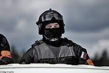 Информационная система собр роснедра обеспечивает единую точку доступа к отраслевым информационным системам. Sobr Wikipedia