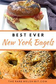New York Bagels Eat Like A Local Recipe In 2020 New York Bagel Recipes Healthy Bread Recipes
