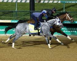 Tapit was good enough to win two stakes races (the grade 3, laurel futurity, and the grade 1 wood. Essential Quality Leads Kentucky Derby Workout Parade Bloodhorse