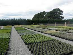 We did not find results for: Greenlinc Nursery Landscaping Services Weedons Selwyn Christchurch New Zealand