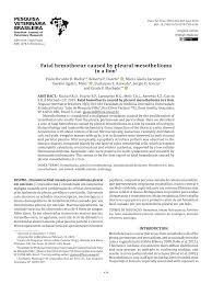 Check spelling or type a new query. Pdf Fatal Hemothorax Caused By Pleural Mesothelioma In A Lion