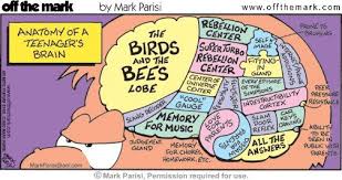 The Teenager S Brain P Teenage Brain Teenager Parenting Humor