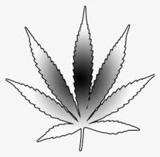 500x500 weed tattoos designs, ideas and meaning tattoos for you. Weed Leaf Png Download Transparent Weed Leaf Png Images For Free Nicepng