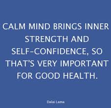 Great Quote By The Dalai Lama A Calm Mind Breeds Emotional Balance Mental Clarity And A Quiet Inner Strengt Motivation Success Self Motivation Inner Strength