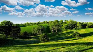 Paesaggio rurale soleggiato con colline e campi all'alba. Immagini Con Splendidi Paesaggi Estivi 100 Fotografie Da Decorare Il Tuo Desktop