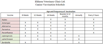 54 Logical Puppy Worming Schedule Chart