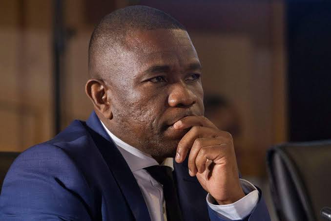 Mkhwanazi's mandate extended beyond KZN | The Citizen
