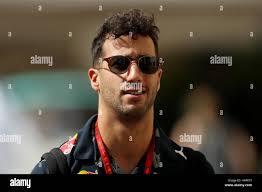 Three bulls hi-res stock photography and images