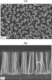 A Top View And B Cross Sectional Sem Images Of The Silicon Nanowire Substrate Prepared By Chemical Etching Of C Si 100 In Hf Agno Spore Crystals Substrate