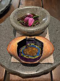 Image result for Borago