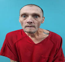 Wayne David Stanton Charges: Public Intoxication Indecent exposur  Disorderly Conduct This information and more is available at  https://roanesheriff.com