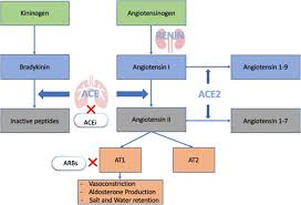 Image result for ACE Inhibitor