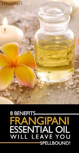 These 8 Amazing Benefits Of Frangipani Essential Oil Will Leave You Spellbound Frangipani Essential Oil Frangipani Essential Oils
