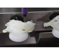 New Product Delta Robot Edible Bird's Nest Feather Cleaning ...